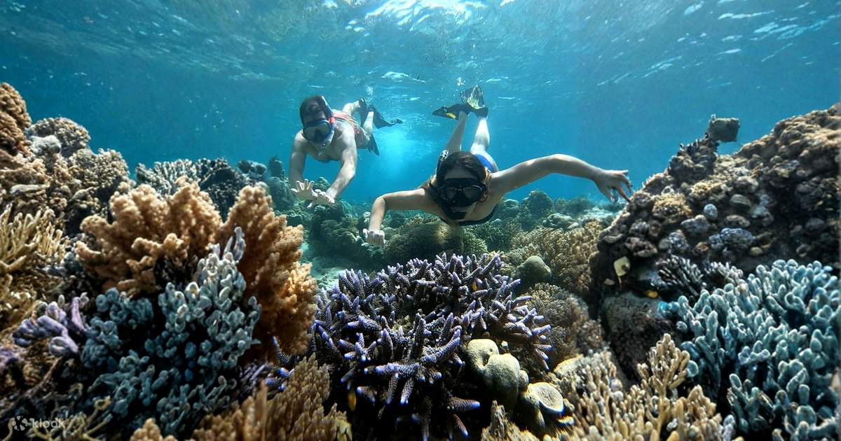 Secret Islands Private Snorkeling Tour in Lombok with GoPro - Klook ...