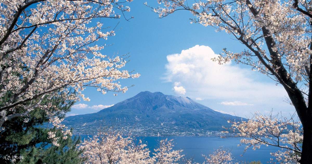 鹿児島桜島半日火山ツアー - Klook
