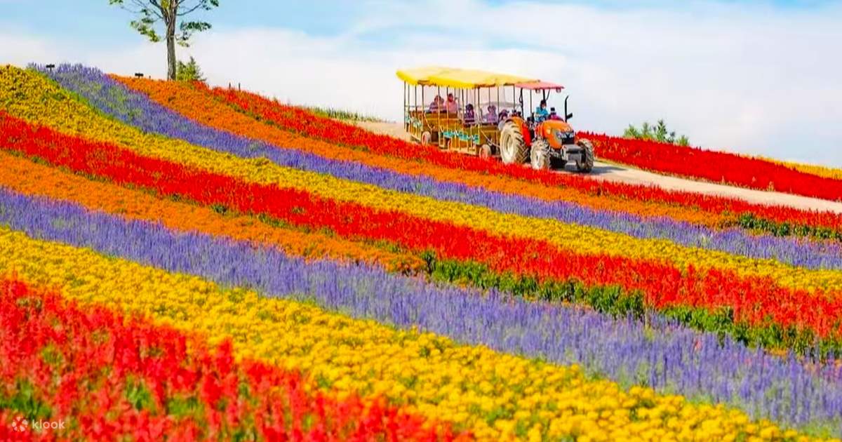NO110オプティニール様 三角屋根のFLOWERS and GARDEN 5段 Hokkaido Full-Day Flower Fields & Ningle Terrace Tour - Klook