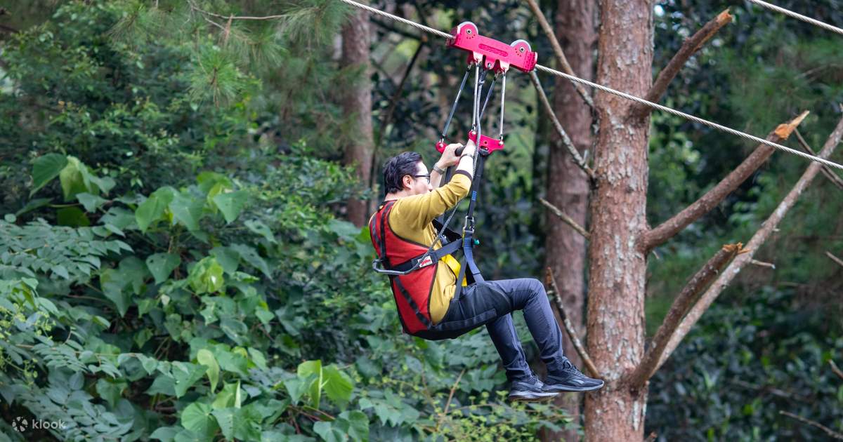 DatanlaNewZiplineExperienceinD