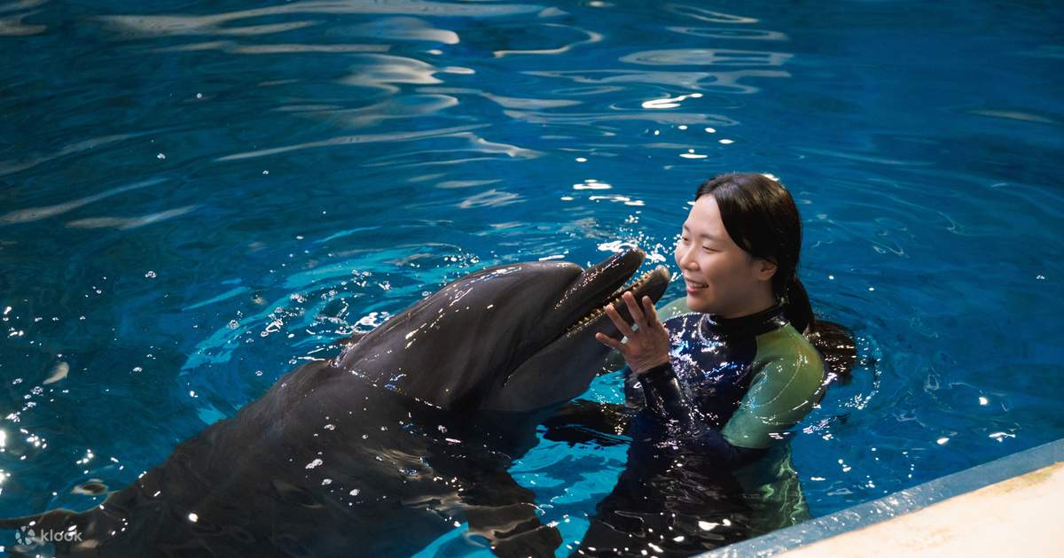 韓国　アクアプラネット済州　水族館　チェジュ　限定記念メダル　全3種 韓国アクアプラネット済州水族館チェジュ限定記念メダル全3種