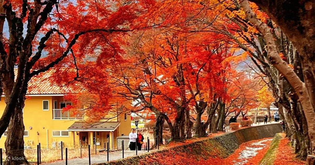 MountFujiAutumnLeavesDoubleLak