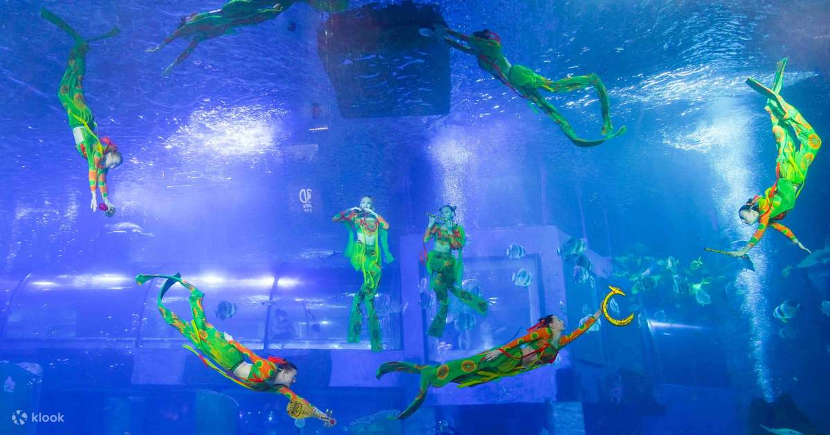 海洋楽園　オーシャンシアター Grandview Aquarium Ticket - Klook United States