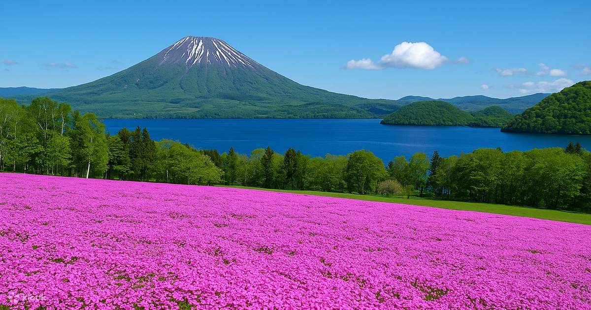 札幌発｜北海道・富士山・中山峠