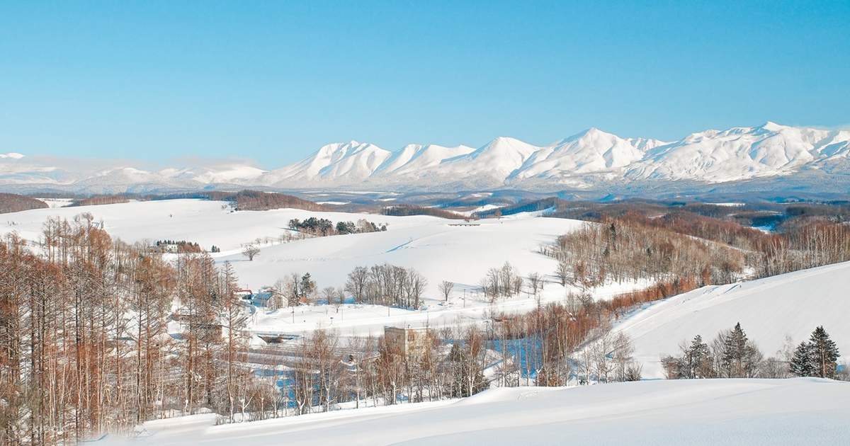 Sapporo Asahiyama Zoo & Shikisai-no-Oka Winter Tour (Optional