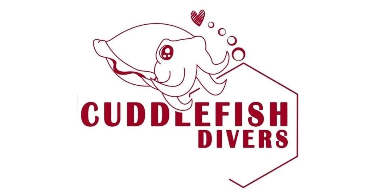 Lặn cùng thợ lặn CUDDLEFISH ở Singapore - Klook Việt Nam