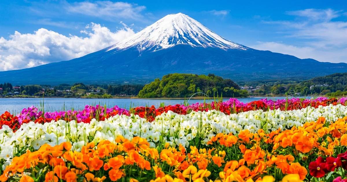 富士山6景撮影プライベート少