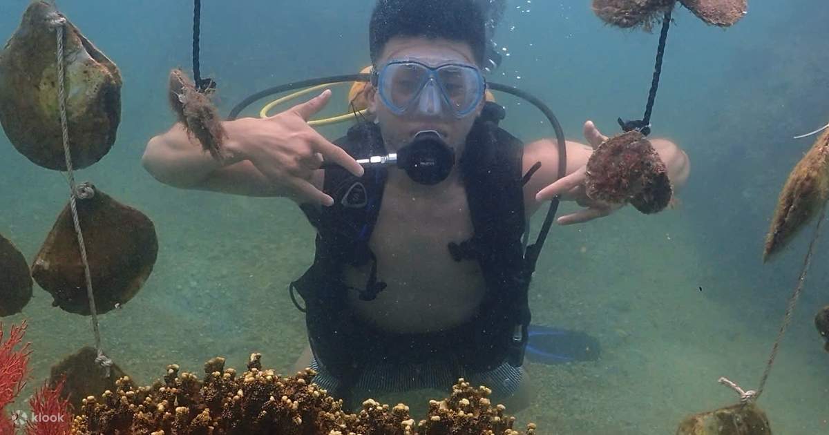 ニャチャンで真珠の水中世界を