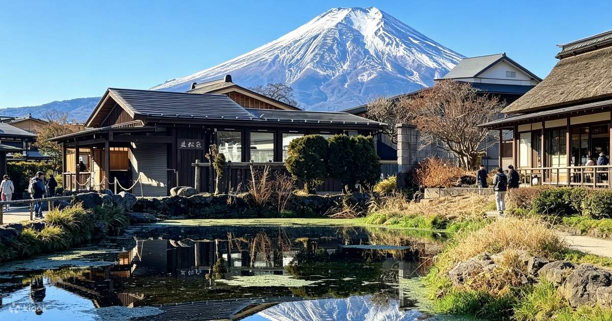 Mount Fuji and Hakone Day Trip with Cable Car Experience - Lake