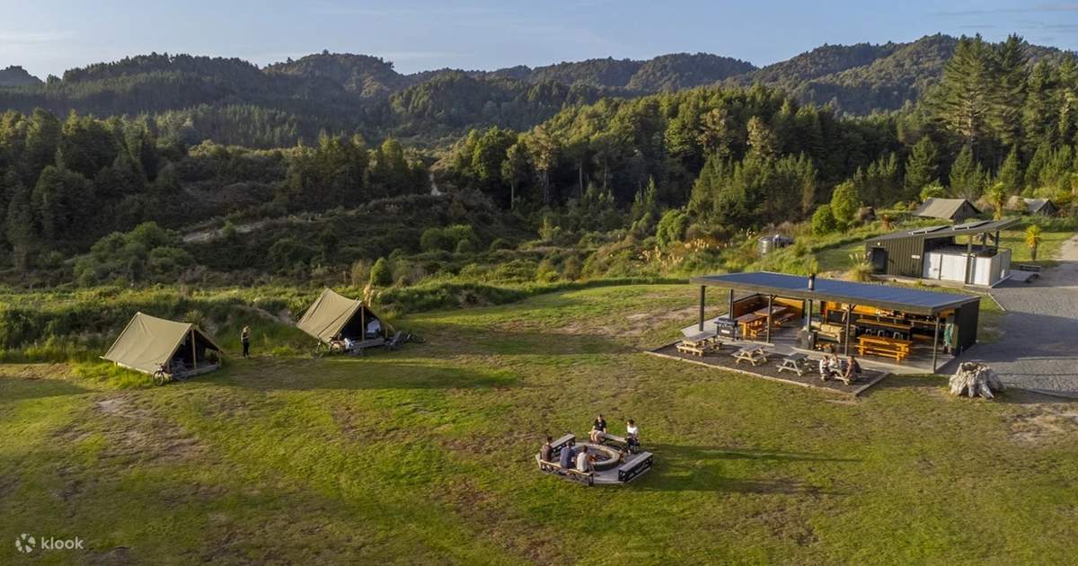 Trải Nghiệm Cắm Trại Sang Trọng Camp Epic tại Công Viên Rừng Pureora ...
