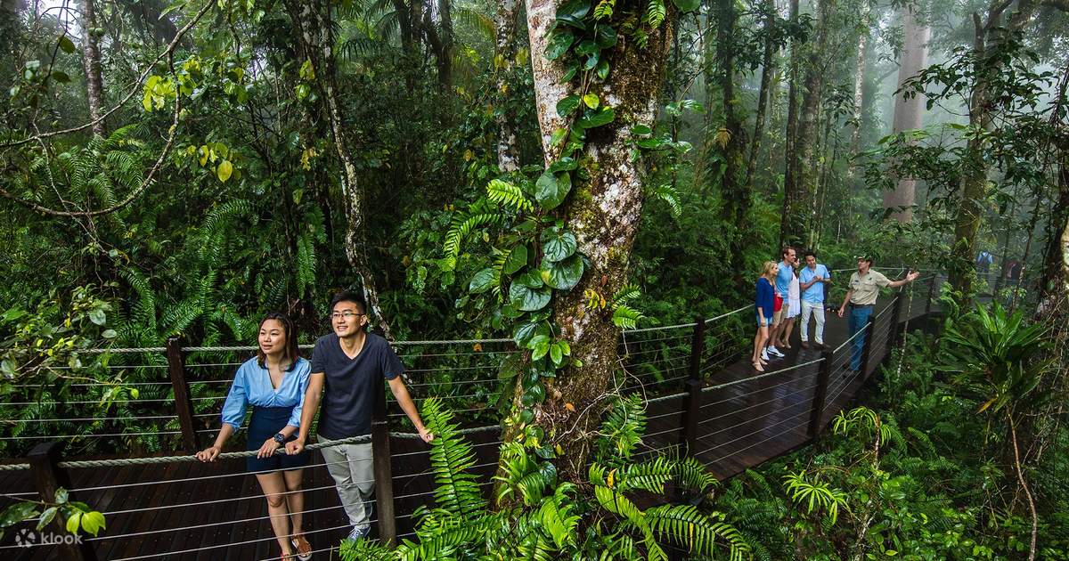 Skyrail Rainforest Cableway and Kuranda Scenic Railway Tickets - Klook