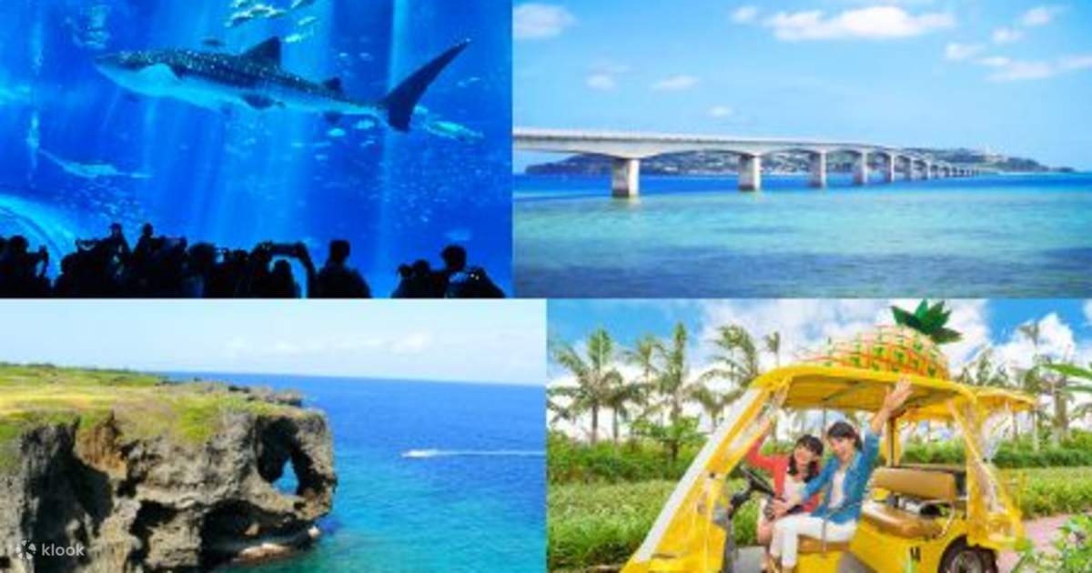 Okinawa Hip Hop Bus One Day Tour - Klook