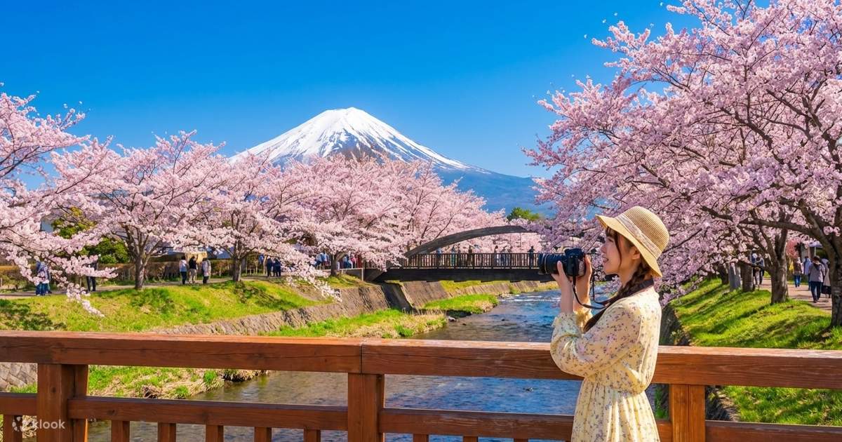 Mount Tenjo Ropeway Mount Fuji & Tenjo-Yama Park Ropeway Day Tour - Klook Philippines