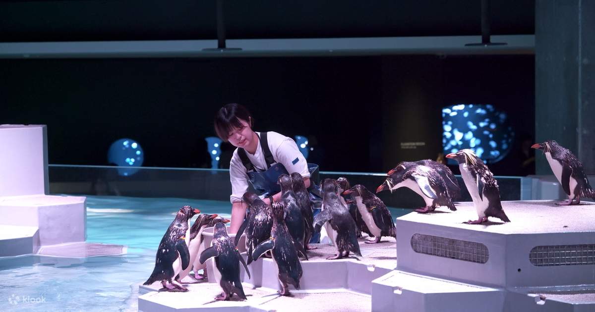 AOAO SAPPORO Tickets - Klook Hong Kong