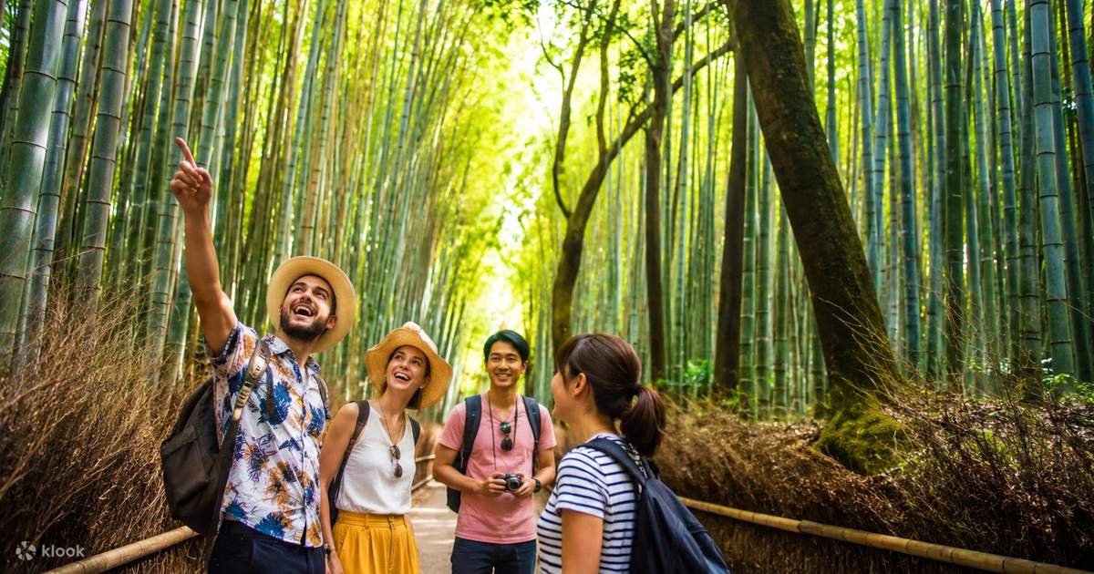 Ultimate Kyoto Arashiyama Tour: Bamboo, Monkeys, Zen Gardens