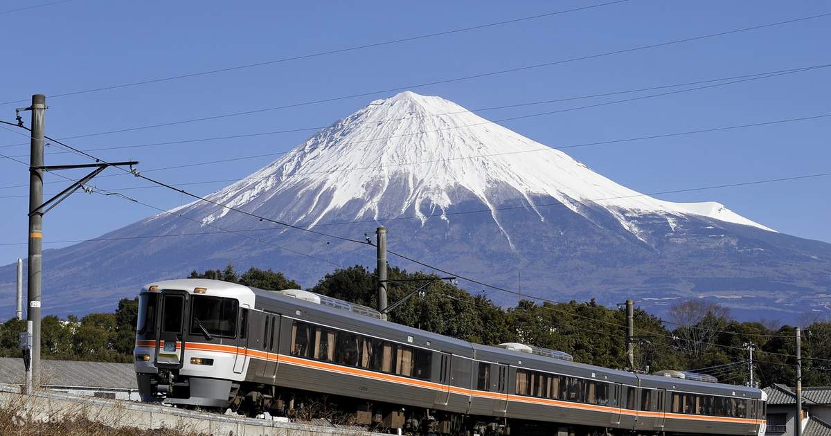 Mt. Fuji & Shizuoka Wasabi Farm Tour with Hokusai Train & Shinkansen ...