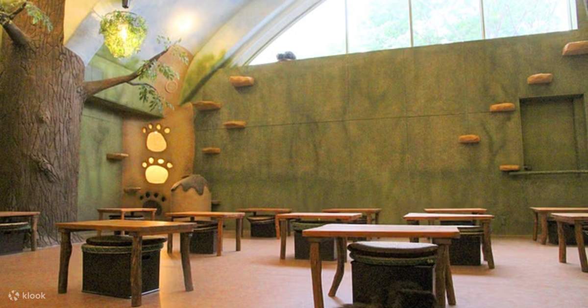 Tokyo Cat Cafe in Kichijoji – Forest Themed - Klook