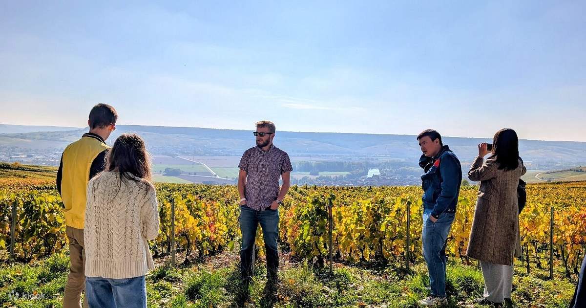 Morning Champagne Taittinger and Family Grower Tour dari Reims - Klook ...