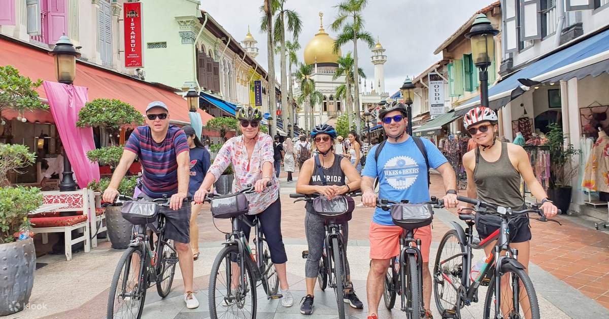 e bike klappräder gebraucht SAXXX Foldi Comfort E-Klapprad (375Wh) Color:oak wood Gewürzkiste Essig & Öl Summer Truffle