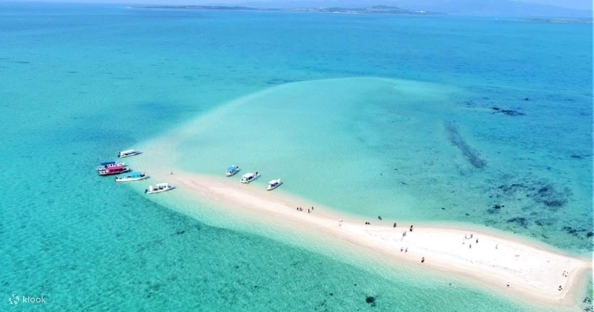 Trải nghiệm lặn biển ngắm san hô ở Đảo Ishigaki, Okinawa - Klook Việt Nam