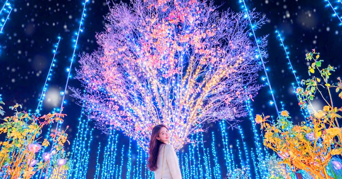 Japan's Top 3 Illumination Shows: Flower Garden of Light & Ibaraki