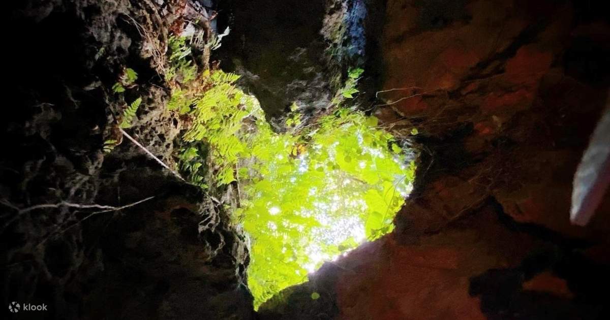CAVE OKINAWA Admission Ticket in Okinawa - Klook Singapore