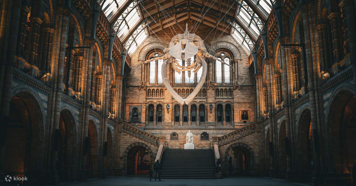 ロンドン自然史博物館2枚 検品済 Aランク ロンドン自然史博物館ツアー-