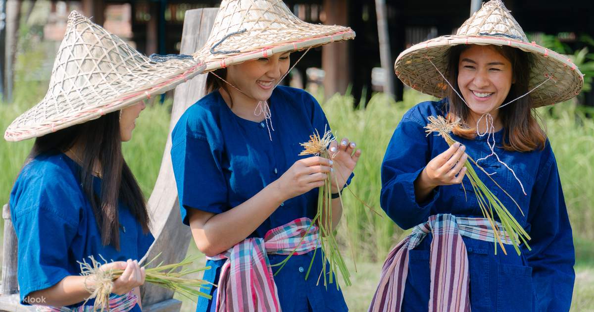 Visayan Rice Planting Ritual Join In Traditional Rice Planting And Harvesting Experience in Krabi ...