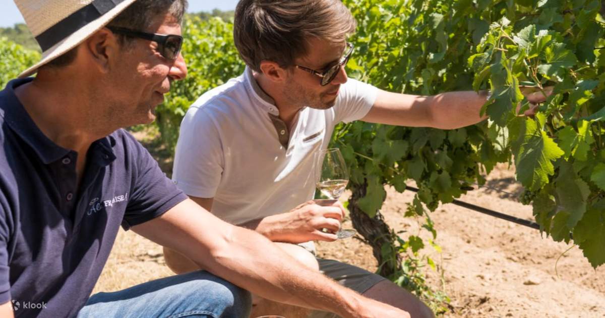 Bandol and Cassis Wine Tasting Tour from Marseille - Klook Hong Kong