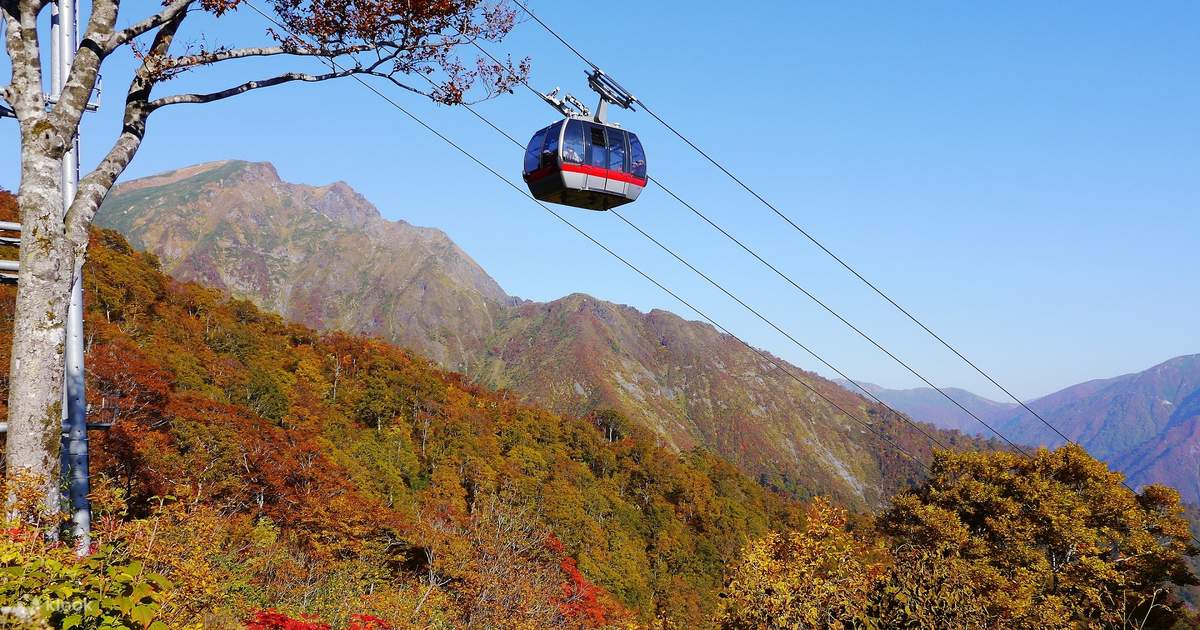 Tanigawadake Ropeway dan Tenjin One Day Trip dari Tokyo - Klook
