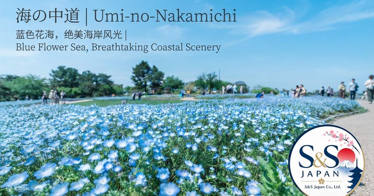 Fukuoka Uminonakamichi Park & Itoshima Full-Day Tour with Scenic