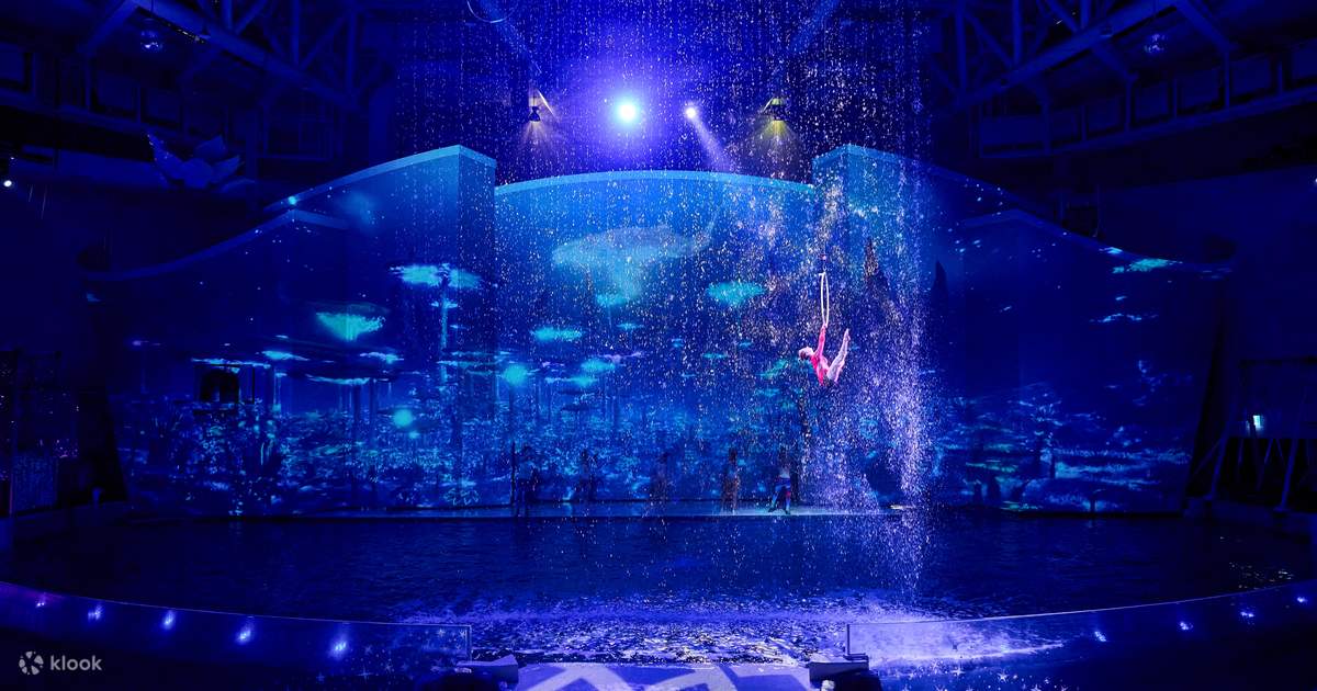韓国　アクアプラネット済州　水族館　チェジュ　限定記念メダル　全3種 アクアプラネット済州 入館チケット（済州島） - Klook