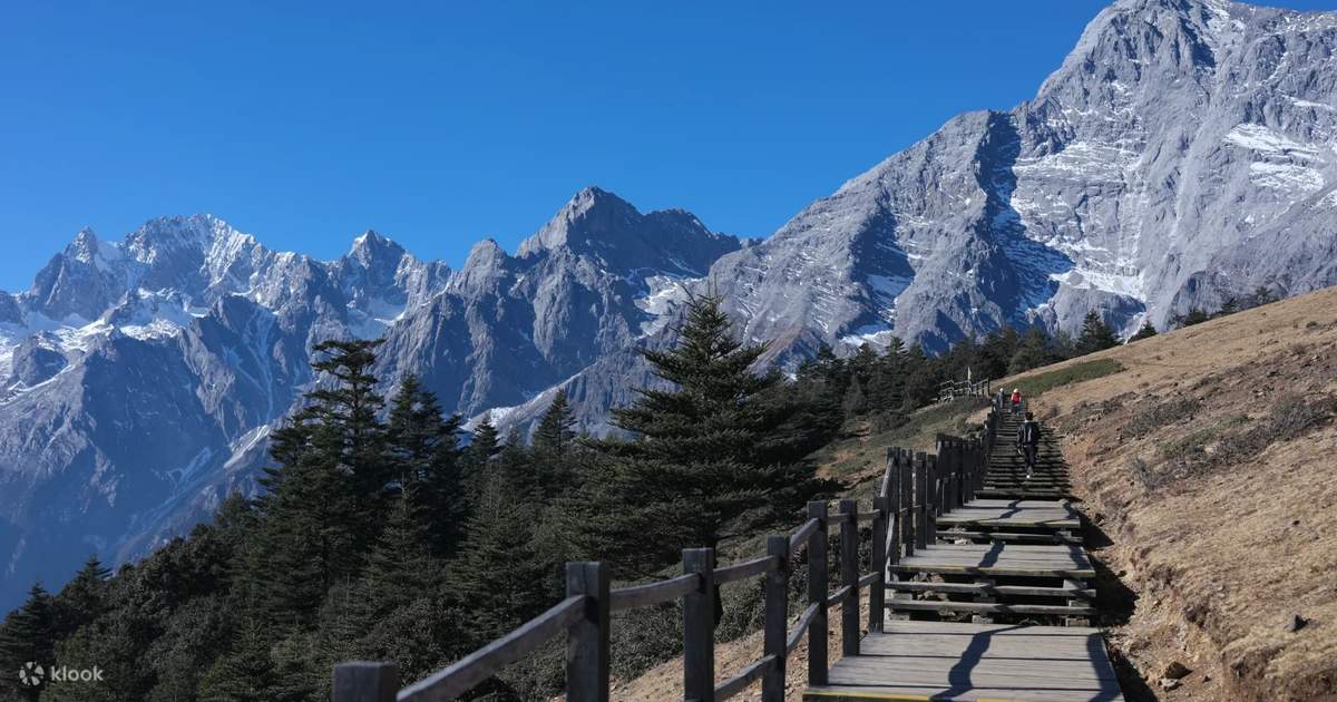 Lijiang Jade Dragon Snow Mountain, Yunnan: Yak Meadow Cable Car