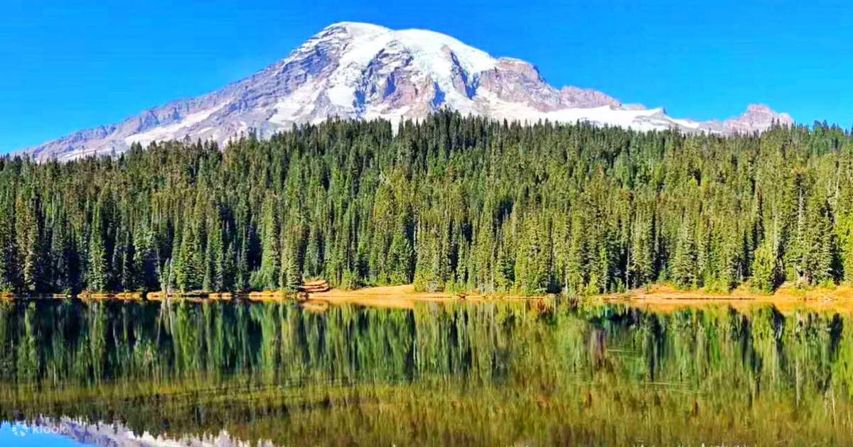 Tur 80 Tur Sehari Penuh Taman Nasional Gunung Rainier Seattle - Klook