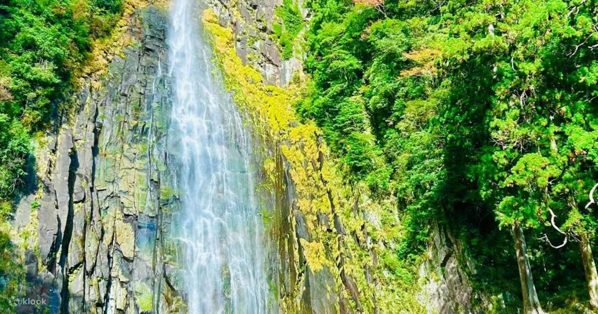 Kumano Kodo Walking Trail & Nachi Falls One Day Tour from Nagoya
