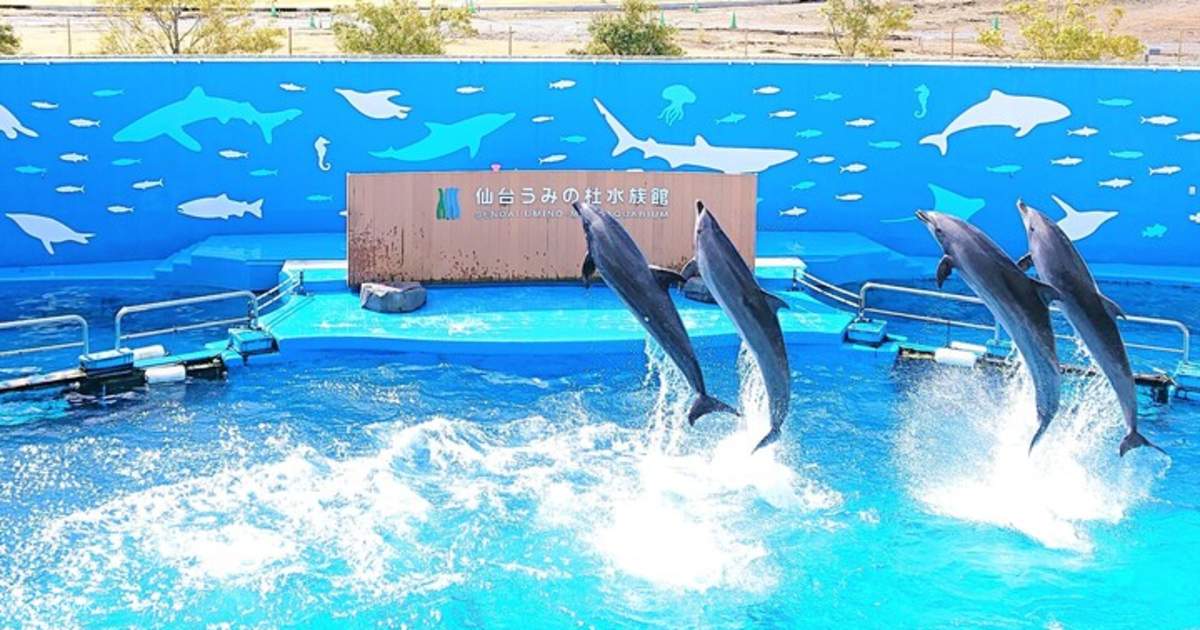 仙台うみの杜水族館 入館チケット（宮城） - Klook