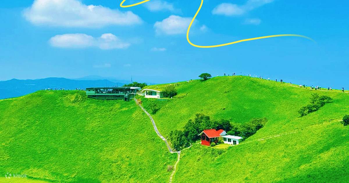 Izu Sea View Train Experience - Mount Omuro Jogasaki Coast
