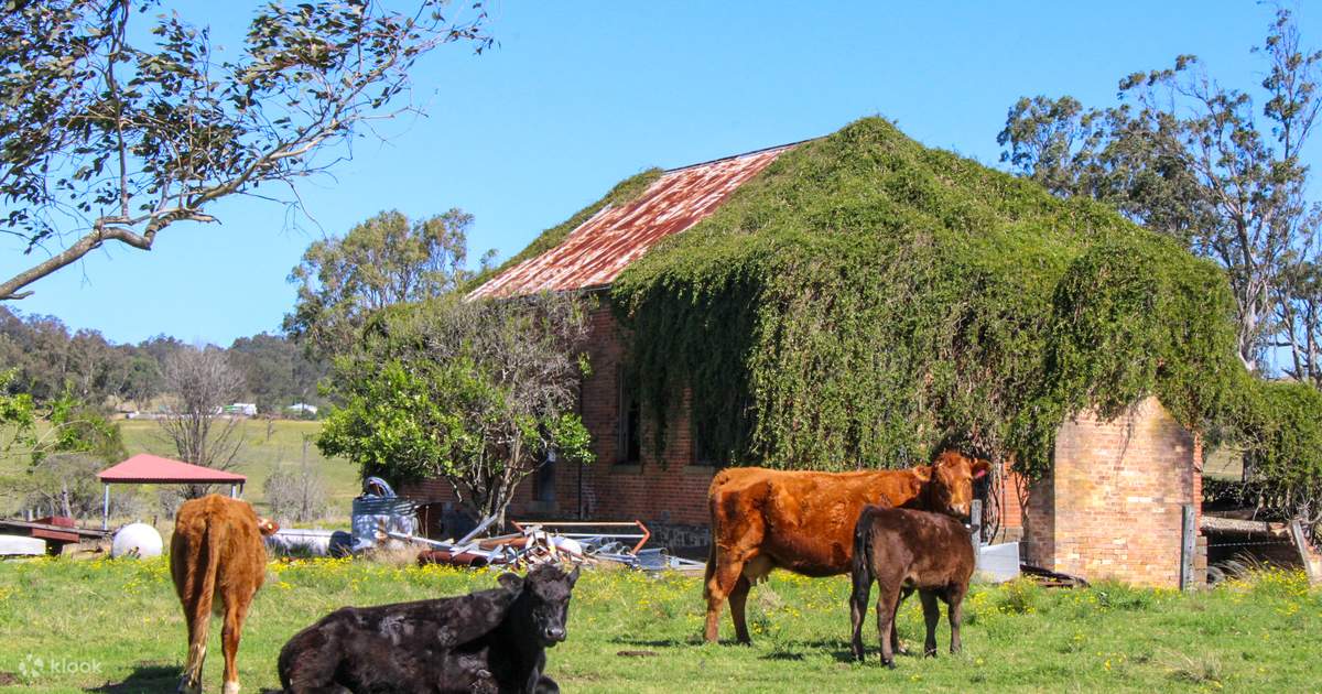 Australian Country Adventure - Klook