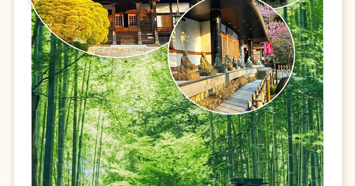富士山箱根鎌倉伊豆人気インスタ