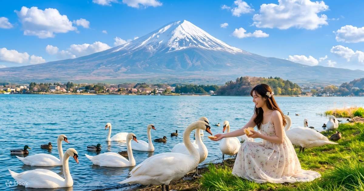Mount Fuji 6-View Photo Private Small Group Tour (9-person