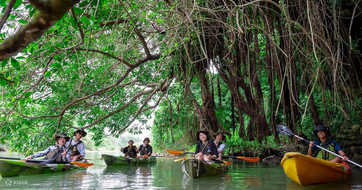 Okinawa Mangrove Kayak Tour with Photo Gift - Klook