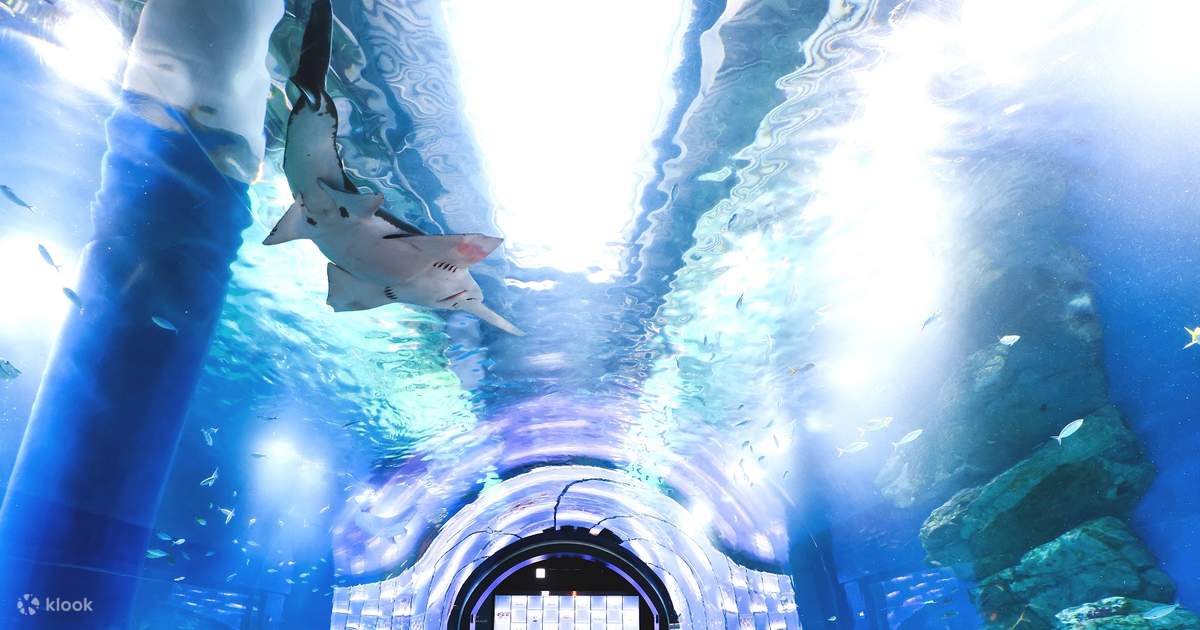 Aqua Park Shinagawa Ticket Tokyo, Japan - Klook Canada