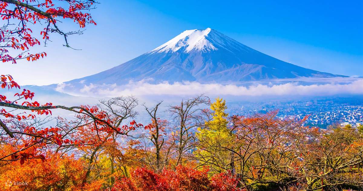 Mount Fuji Magnificent View Day Trip (From Tokyo) - Klook Canada