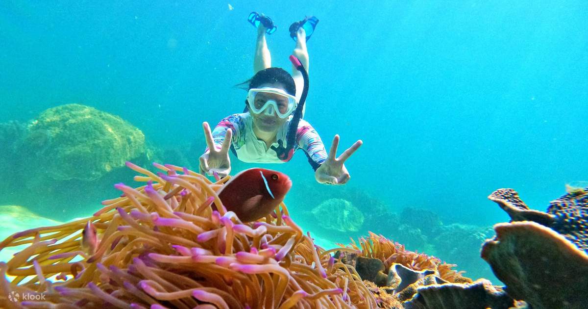Phu Quoc Snorkeling Day Tour to Explore Coral Jungle Reef - Klook