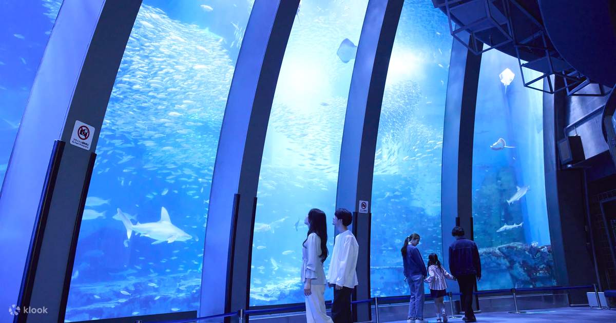 Yokohama Hakkeijima Sea Paradise Ticket - Klook