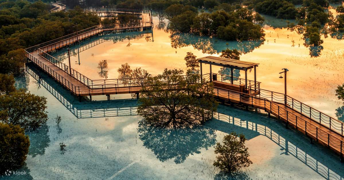 Jubail Mangrove Park ticket in Abu Dhabi - Klook