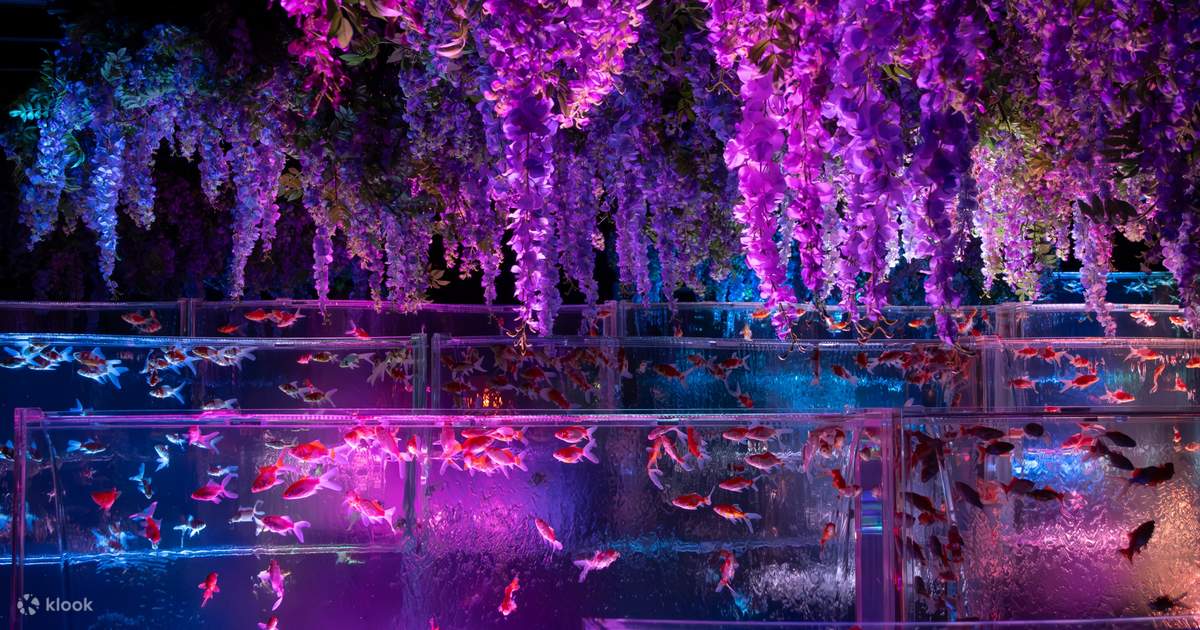 Art Aquarium Museum GINZA Ticket - Klook United States