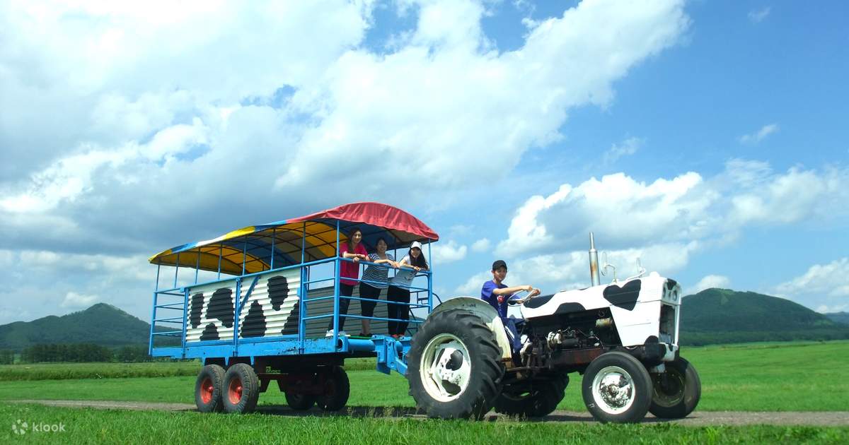 Hokkaido Farm Experience at Watanabe Farm: Meet the Cows, Milking ...