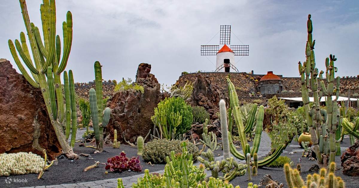 Jardin de Cactus Admission Ticket in Lanzarote - Klook