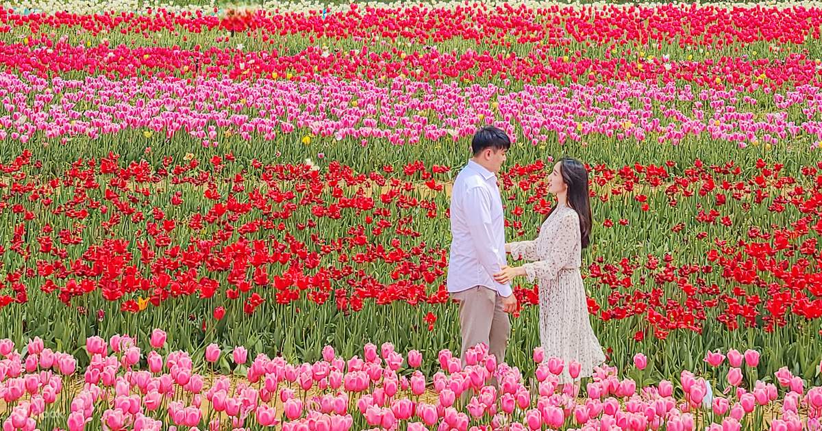 NyaNya STRAWBERRY FLOWERS ON THE HILL NyaNya Strawberry Flowers on 